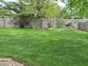 David S.'s grass maintenance service result