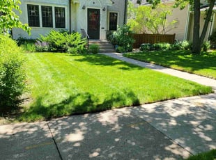 Xavreia D.'s turf care service result