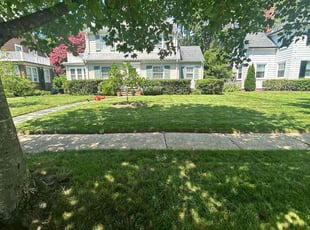 Olivia D.'s lawn care services service result