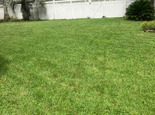 Elisa B.'s lawn care service result