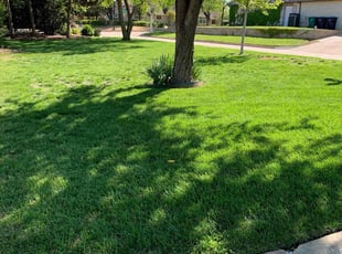 Laverne M.'s landscaping services service result