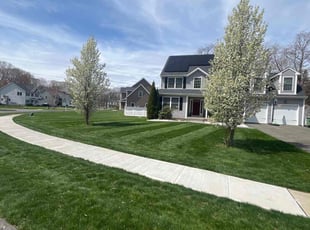 Nora H.'s lawn care services service result