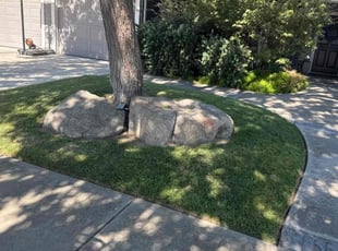 Erica C.'s lawn service service result