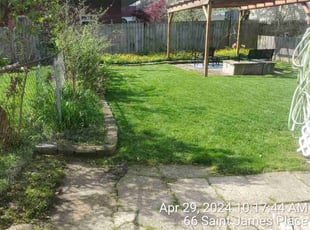 Trina E.'s lawn care service result