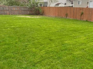 Erik G.'s lawn maintenance service result