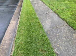 Claudia Z.'s lawn service service result