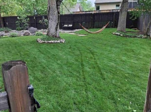 Mary K.'s grass maintenance service result