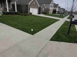 Daniel V.'s lawn maintenance service result