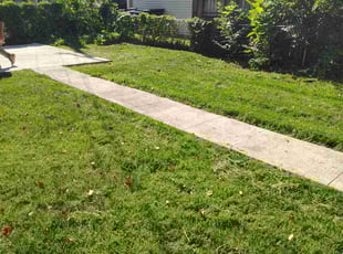 Daniella G.'s grass maintenance service result