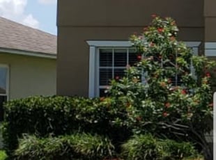 Ros L.'s Bush Trimming service result