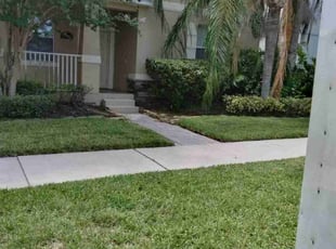 Taher H.'s Bush Trimming service result