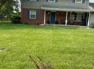 Angelo B.'s lawn maintenance service result