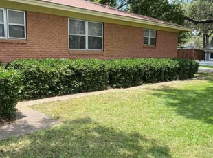 James M.'s lawn service service result