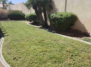 Jose V.'s turf care service result