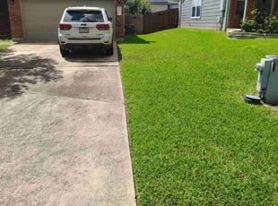 Matthew J.'s grass cutting service result