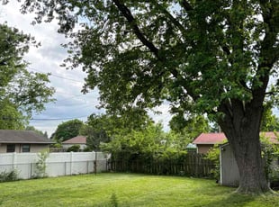 Michele A.'s grass maintenance service result