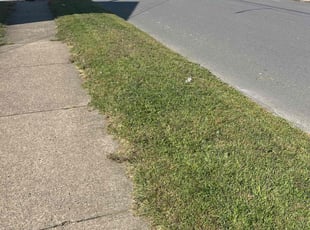 Ms. O.'s lawn maintenance service result