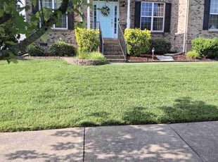 Trish P.'s grass cutting service result