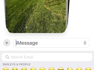Michael N.'s lawn care services service result