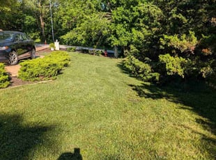Christy W.'s yard care service result