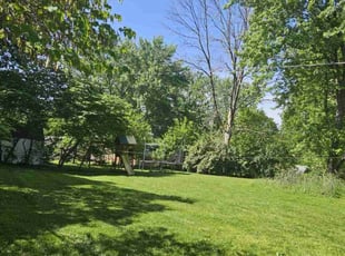 Luann D.'s grass maintenance service result
