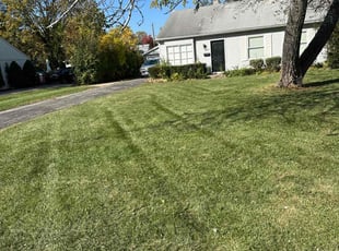 Nopphada P.'s lawn care service result