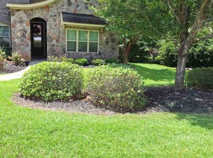 Sherry S.'s yard maintenance service result