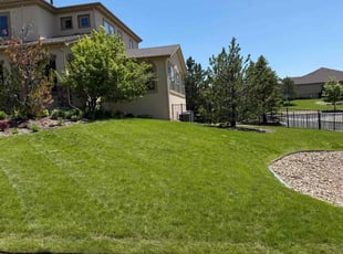 Ed R.'s lawn care service result