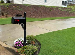 Stephanie T.'s turf care service result