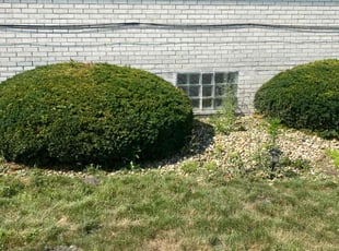 Juan G.'s Bush Trimming service result