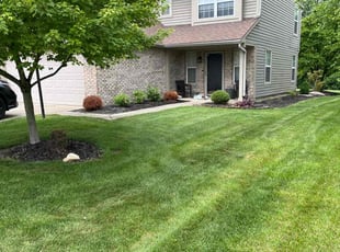 Douglas M.'s lawn maintenance service result