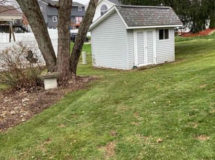 Rita C.'s turf maintenance service result