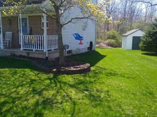 Sharon G.'s grass cutting service result