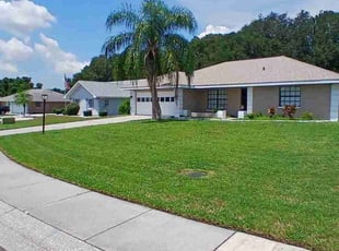 Tony T.'s lawn care services service result