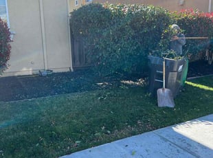 Glenn M.'s Bush Trimming service result