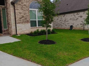 Lamar C.'s turf care service result