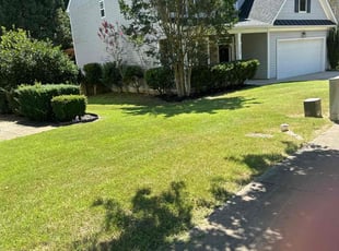 Bilal A.'s lawn service service result