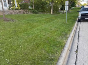 Corey R.'s grass maintenance service result