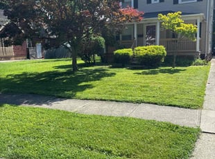 Dee A.'s grass maintenance service result