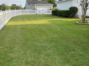 Jeannette I.'s turf maintenance service result