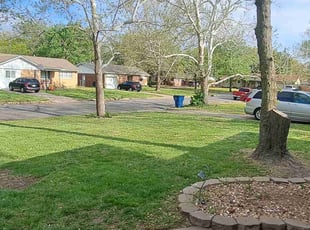 Erik T.'s turf care service result