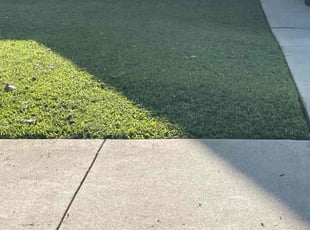 Jose C.'s lawn care services service result