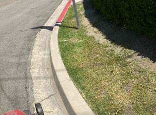 Anthony R.'s lawn care service result