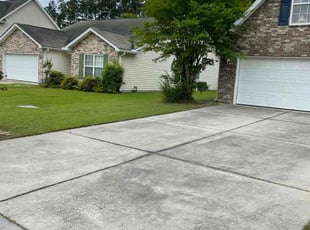 Walt H.'s turf maintenance service result
