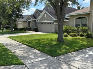 Cassidy H.'s lawn service service result