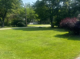 Eric S.'s grass maintenance service result
