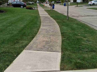 Jennifer L.'s lawn care service result