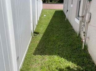Dave S.'s grass cutting service result