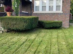 Paul W.'s lawn service service result