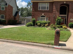 Mike B.'s turf care service result